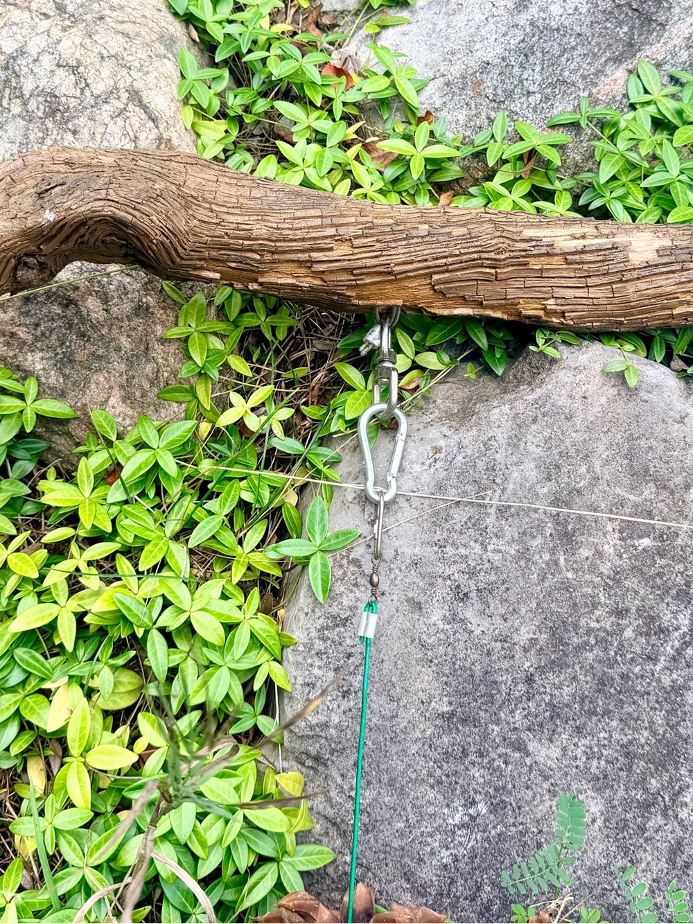 🌲NATURE INSPIRED DECOR - Picture 8 of 13